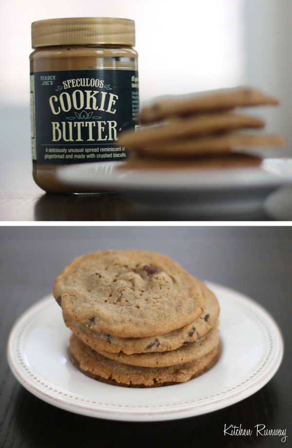 chocolate chip cookie butter cookies